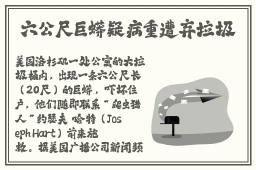 午夜精品无码一区二区三区